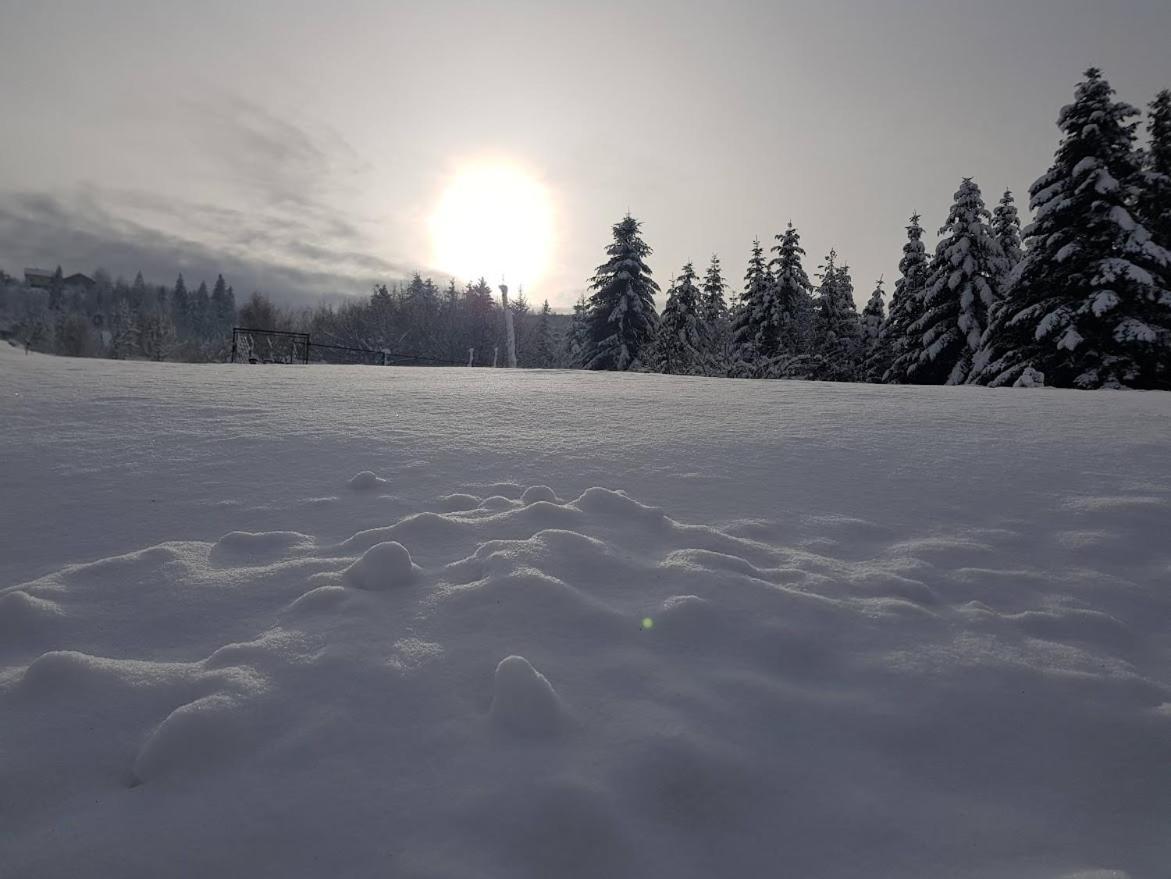 Agroturystyka Koronkowe Zacisze Koniaków Exteriér fotografie