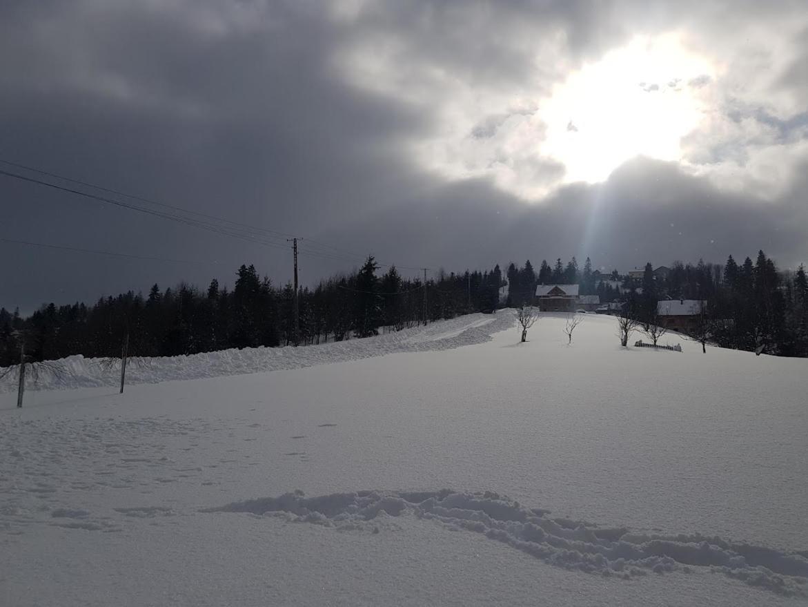 Agroturystyka Koronkowe Zacisze Koniaków Exteriér fotografie